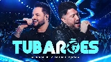 Video küçük resmi Tubarões - Ao Vivo