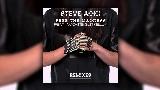 Video küçük resmi Free The Madness - Steve Aoki & Max Styler Remix