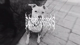 Video küçük resmi MARTINETE