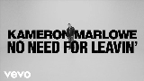 Video küçük resmi No Need For Leavin'