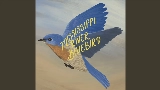 Video küçük resmi Mississippi River Bluebird