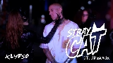 Video küçük resmi Stray Cat