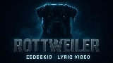 Video küçük resmi Rottweiler