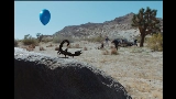 Video küçük resmi What You Want (feat. Teezo Touchdown)