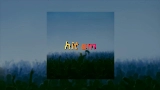 Video küçük resmi Hit Em