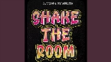 Video küçük resmi Shake The Room