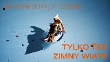 Video küçük resmi tofu