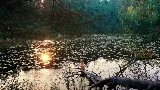 Video küçük resmi Mother's Love Conquers All