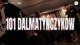 Video küçük resmi 101 DALMATYŃCZYKÓW
