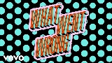 Video küçük resmi What Went Wrong