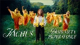 Video küçük resmi Dotknięta przez słońce