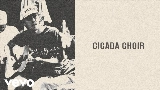 Video küçük resmi Cicada Choir