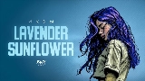 Video küçük resmi Lavender Sunflower