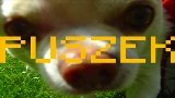 Video küçük resmi TO PIPY