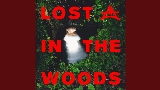 Video küçük resmi Lost In The Woods
