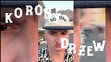 Video küçük resmi Korony drzew
