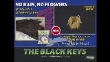 Video küçük resmi No Rain, No Flowers