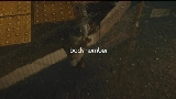 Video küçük resmi 水平線
