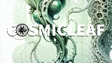 Video küçük resmi World of fungi