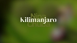 Video küçük resmi Kilimanjaro