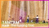 Video küçük resmi 扶桑樹 - The Fusang Tree