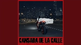 Video küçük resmi Cansada De La Calle