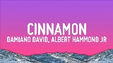 Video küçük resmi Cinnamon (feat. Albert Hammond Jr)