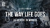 Video küçük resmi The Way Life Goes