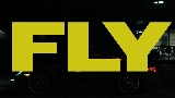 Video küçük resmi Fly