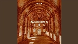 Video küçük resmi Sadness (Crash And Burn)