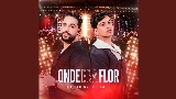 Video küçük resmi Onde Era Flor - Ao Vivo